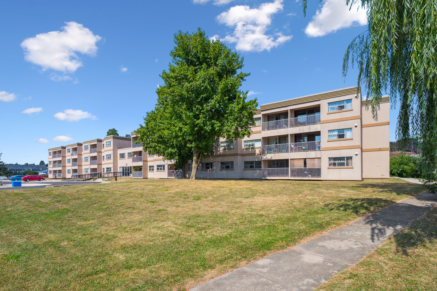 A large grassy area in front of apartment buildings.